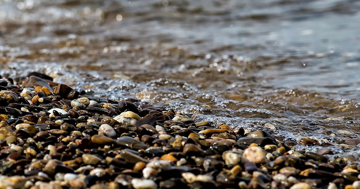 EPA Proposes Roll Back of Waters of the U.S. Definition