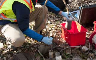 environmental staffing