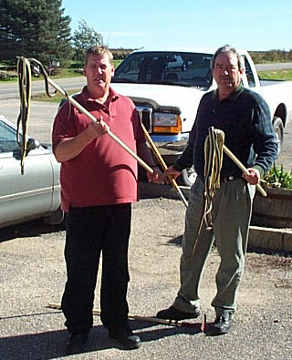 Indoor air quality project and snakes