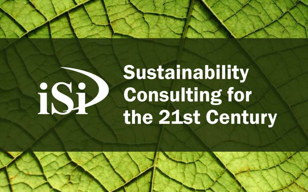 Sustainability Consulting for the 21st Century