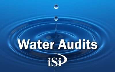 The Importance of Water Audits: A Comprehensive Guide